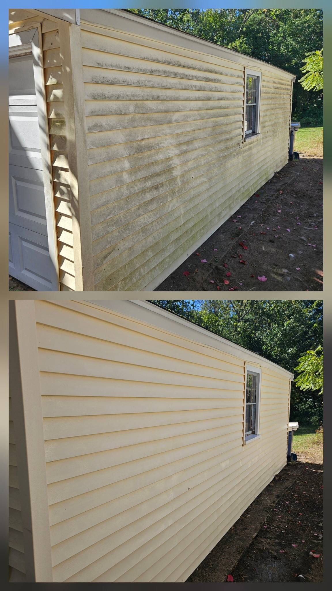 Yellow siding before and after soft wash cleaning